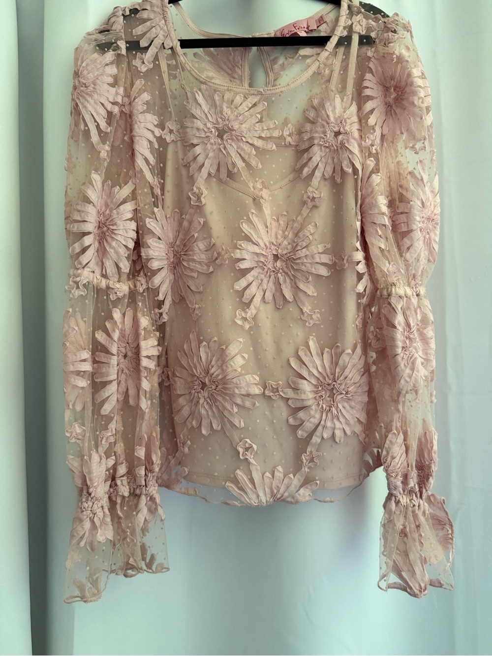 Eva Franco Blush Floral Appliqué Sheer Long-Sleeve Blouse